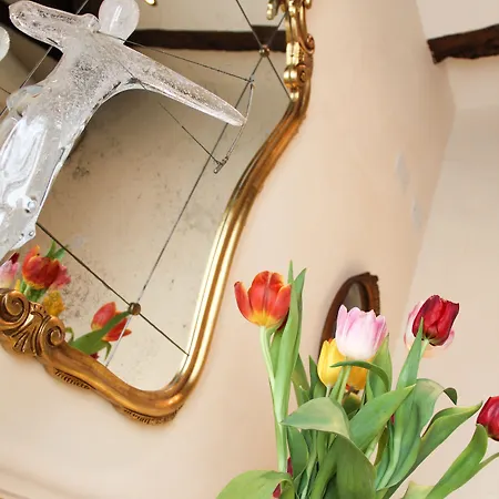 Bed & Breakfast Angeles